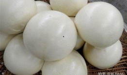 发面馒头爆料怎么做视频,发面馒头制作全过程，轻松学会家常美味